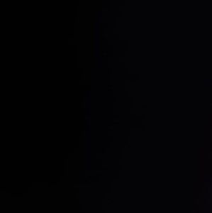 Meet your Posher, Lou